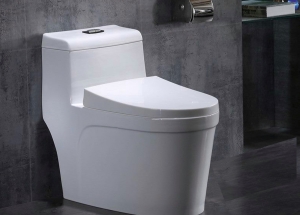 Bồn Cầu Liền Khối Giá Rẻ Mới Nhất Tháng 8