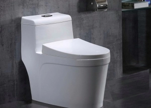 Bồn Cầu Liền Khối Giá Rẻ Mới Nhất Tháng 8