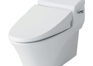 Bồn Cầu INAX Giá Tốt Hàng Chính Hãng. Bồn Cầu Khối, Bồn Cầu hai Khối INAX HCM