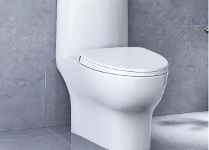 Bồn Cầu Caesar 1 khối C1375 giá Tốt Chất Lượng Tại TP. Hồ Chí Minh