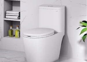 Bồn cầu Caesar 1 khối C1364 nắp ngồi rơi êm