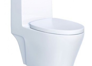 Bồn Cầu 1 khối Caesar C1356 Cao Cấp 