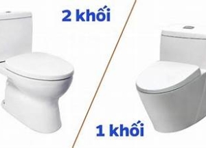 Mẫu bồn cầu giá rẻ dành cho nhà trọ, Bí quyết lựa chọn bồn cầu 