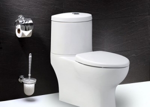 Bồn Cầu Hai Khối Caesar HCM, Bảng Giá Mới Nhất 2024