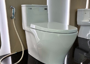 Bồn Cầu Inax 1 Khối AC-989VN Cao Cấp Tại TP HCM