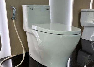 Bồn Cầu Inax 1 Khối AC-989VN Cao Cấp Tại TP HCM