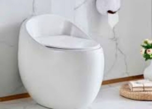 bệt hình trứng, bồn cầu trứng 9268 giá rẻ tại Tiền Giang