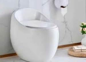 Bệt trứng, Bồn cầu trứng mẫu bồn cầu giá rẻ quận 12