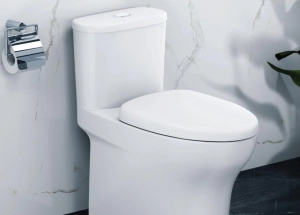 Bồn Cầu 1 khối Caesar C1394 - Sử Lựa Chọn Hoàn Hảo