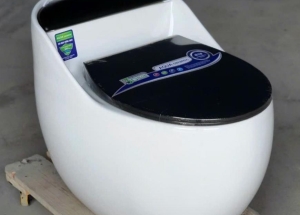 Bồn cầu liền khối giá rẻ tại kho hàng chính hãng bảo hành 5 năm