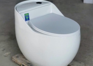 Top 10 Mẫu Bồn Cầu Trứng Tốt - Đẹp - Giá Rẻ