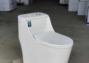 Bồn Cầu Khối Giá Rẻ Mới Nhất Tại TP HCM 