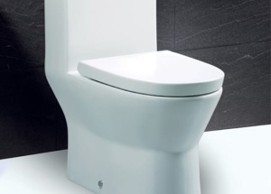 Bồn Cầu 1 khối Caesar C1374 Cao Cấp Giá Tốt.