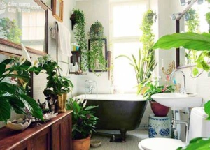 Phong cách thiết kế phòng tắm tối giản - lựa trọn combo thiết bị vệ sinh