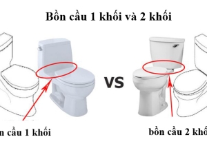 Kinh nghiệm lựa chọn bồn cầu 1 khối và bồn cầu 2 khối phù hợp