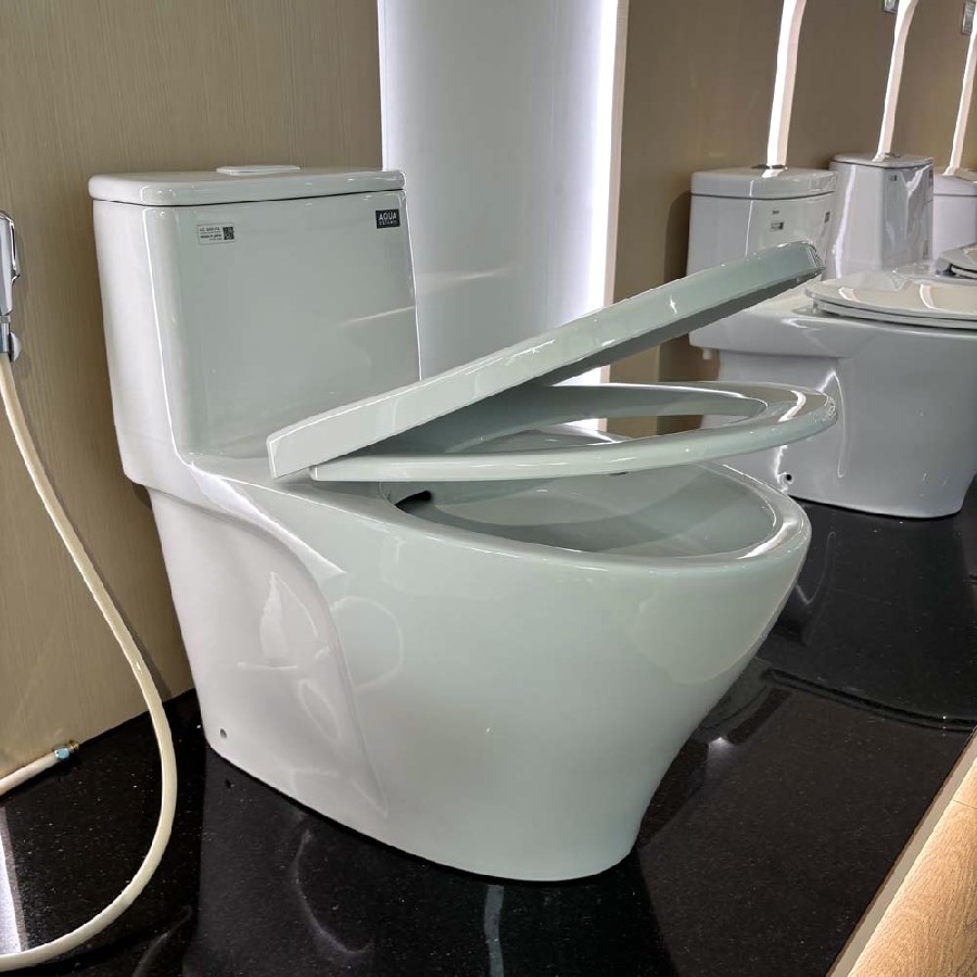 Bồn cầu INAX 1 khối AC-989VN