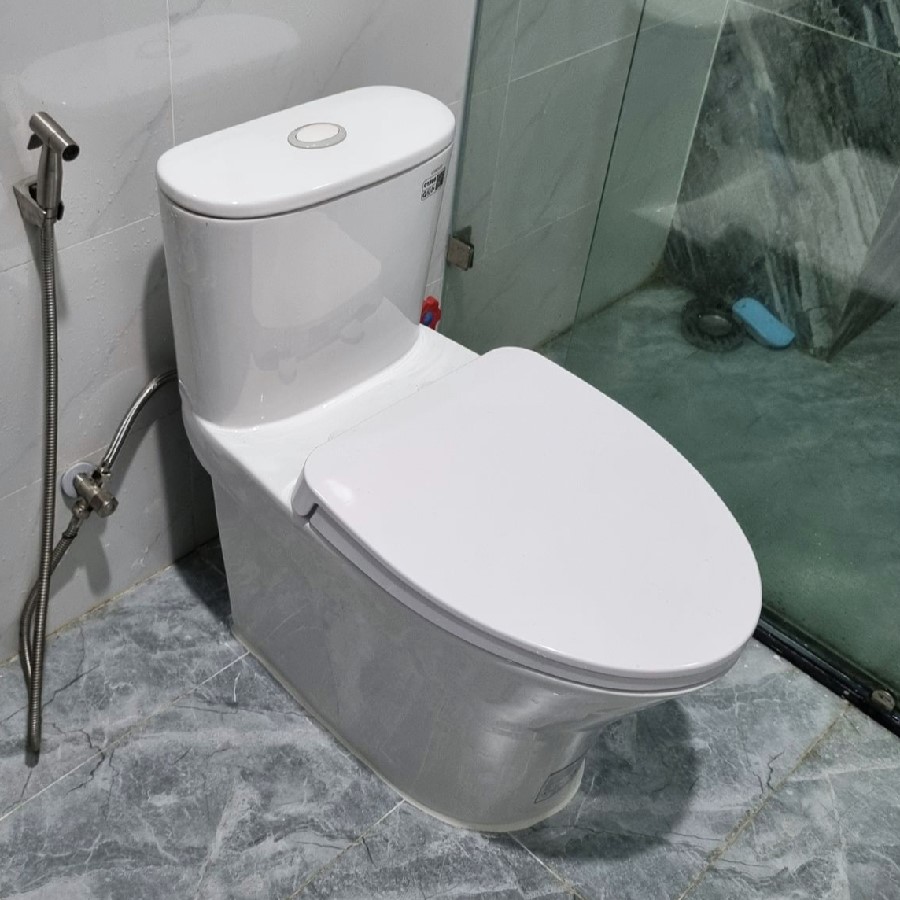 Bồn cầu Caesar 1 khối C1394