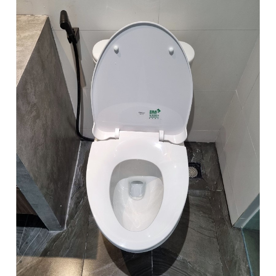 bồn cầu khối Caesar C1395