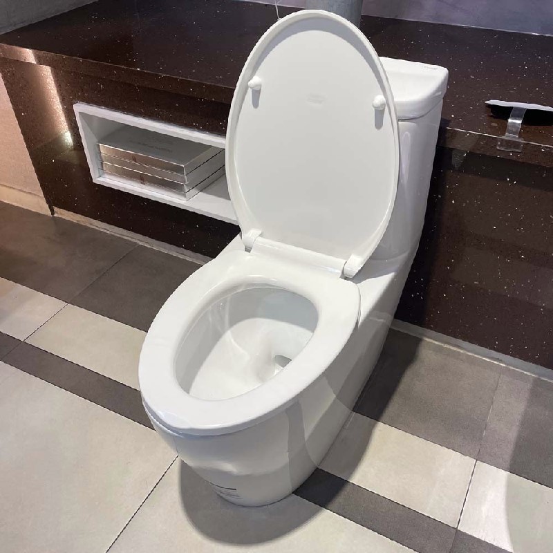 Bồn cầu Caear C1364