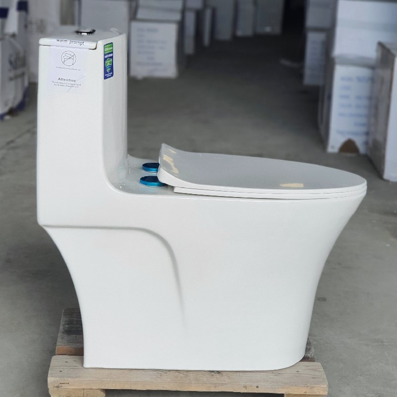Bồn cầu liền 1 khối Gabba 1704