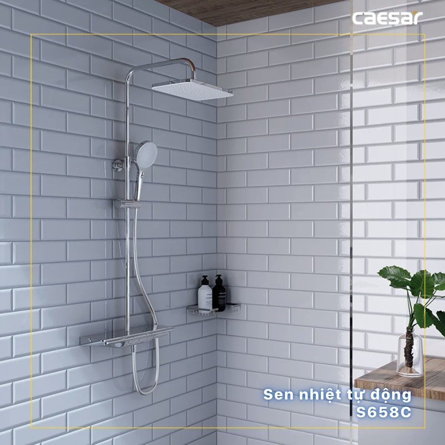 Sen cây tắm đứng Caesar S658C