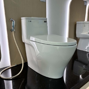 Bồn cầu Inax 1 khối AC-989VN