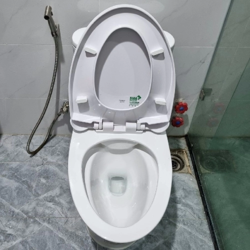 Bồn cầu Caesar 1 khối C1395