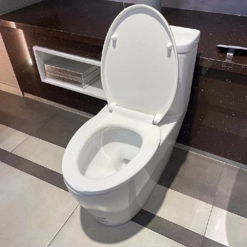 Bồn cầu Caesar 1 khối C1364