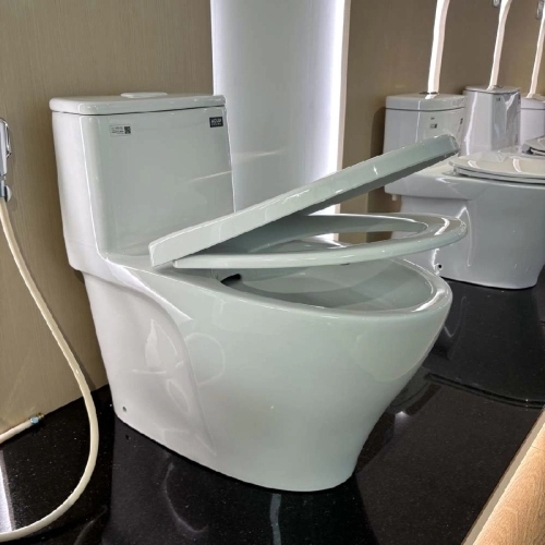 Bồn cầu Inax 1 khối AC-989VN