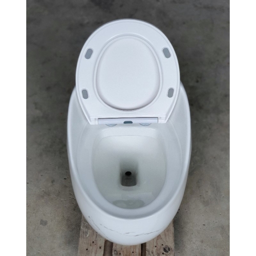 Bàn cầu trứng 1 khối Gabba 9268VD vân đá