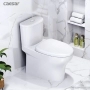 Bồn cầu Caesar C1394 1 khối