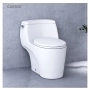 Bồn cầu 1 khối Caesar C1353