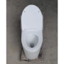 Bệt vệ sinh liền khối Gabba 1711
